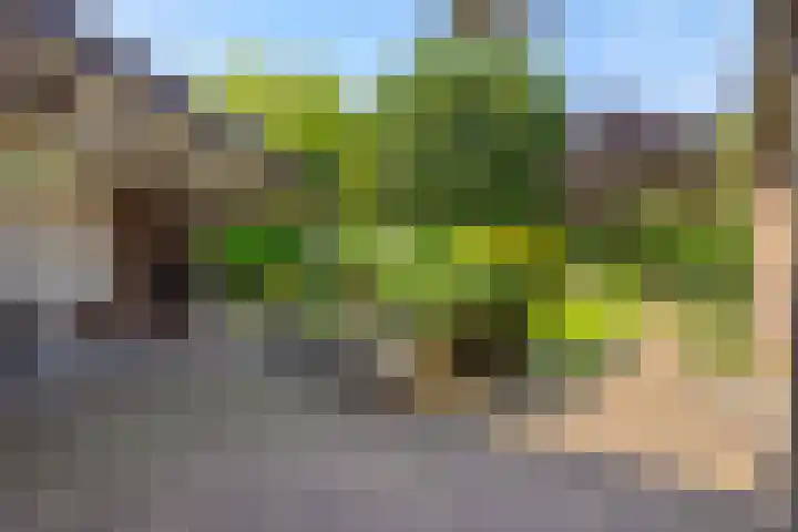 Deken van der Cammenweg 48 Heesch thumbnail 35