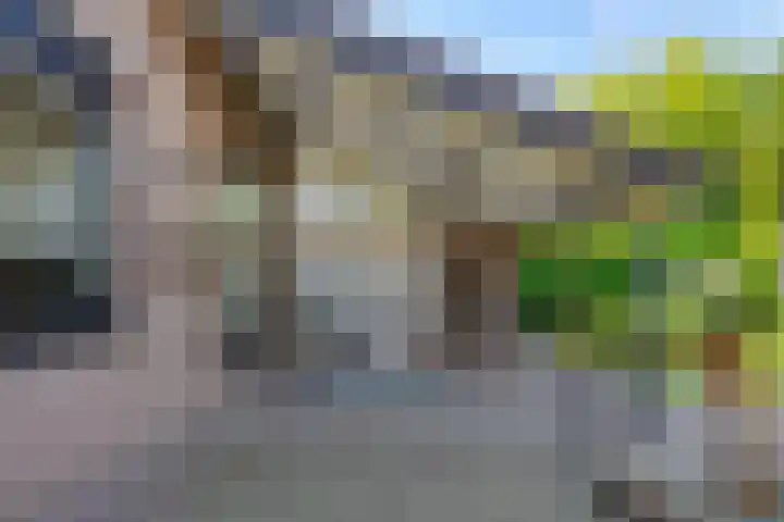 Deken van der Cammenweg 48 Heesch thumbnail 36