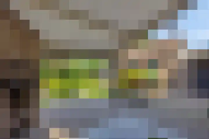 Deken van der Cammenweg 48 Heesch thumbnail 38