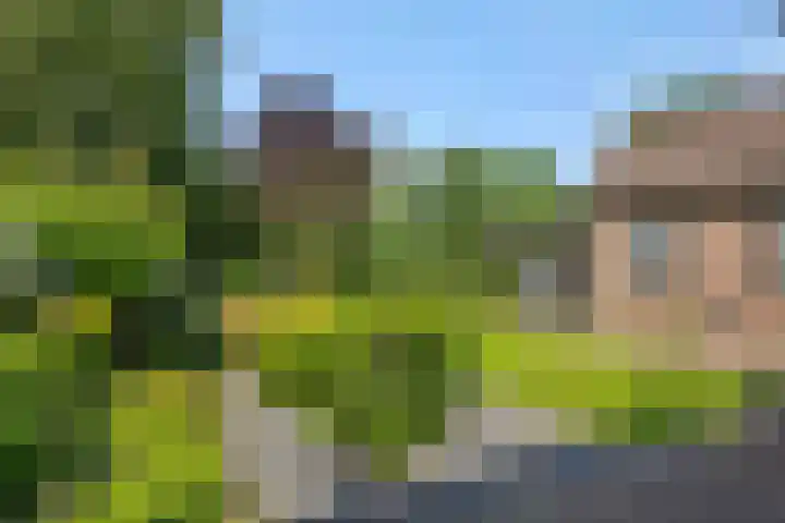 Deken van der Cammenweg 48 Heesch thumbnail 39