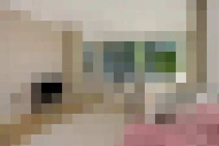 Deken van der Cammenweg 48 Heesch thumbnail 4