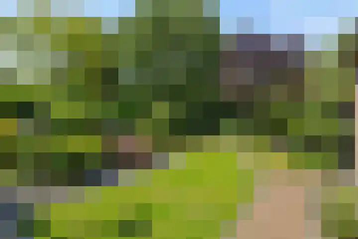 Deken van der Cammenweg 48 Heesch thumbnail 40
