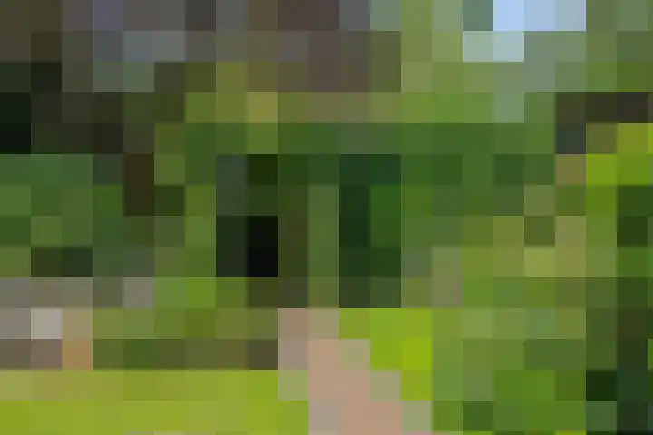 Deken van der Cammenweg 48 Heesch thumbnail 41