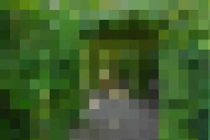 Deken van der Cammenweg 48 Heesch thumbnail 42