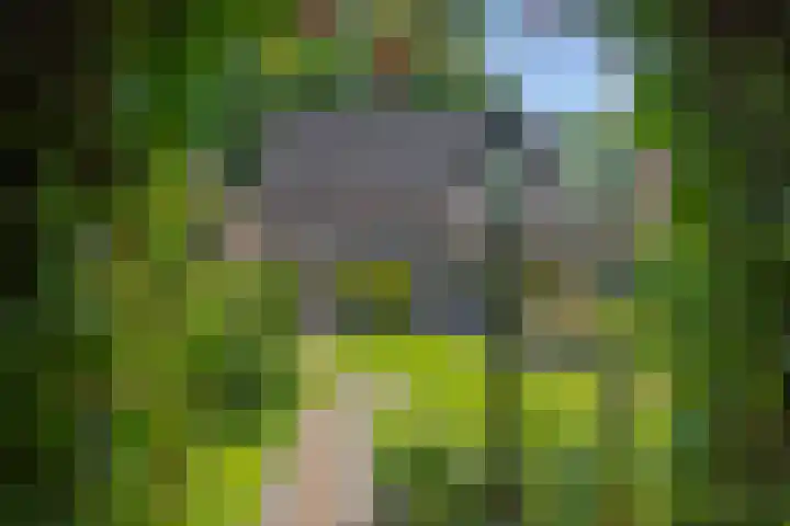Deken van der Cammenweg 48 Heesch thumbnail 43