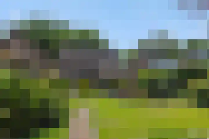 Deken van der Cammenweg 48 Heesch thumbnail 44