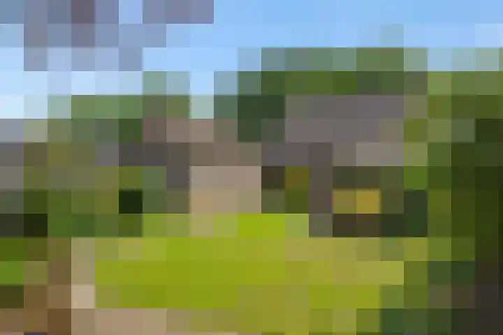 Deken van der Cammenweg 48 Heesch thumbnail 45