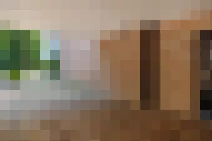 Deken van der Cammenweg 48 Heesch thumbnail 46