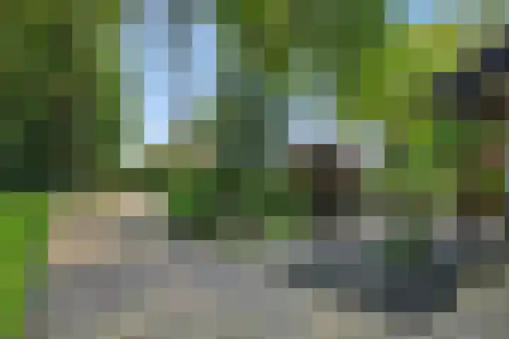 Deken van der Cammenweg 48 Heesch thumbnail 47