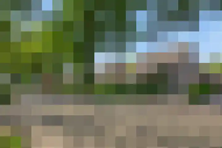 Deken van der Cammenweg 48 Heesch thumbnail 49