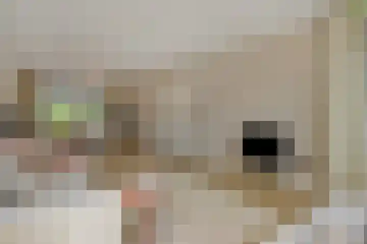 Deken van der Cammenweg 48 Heesch thumbnail 5