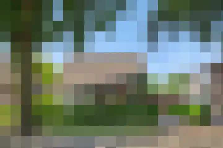 Deken van der Cammenweg 48 Heesch thumbnail 50