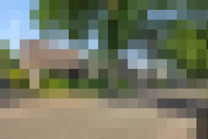Deken van der Cammenweg 48 Heesch thumbnail 51