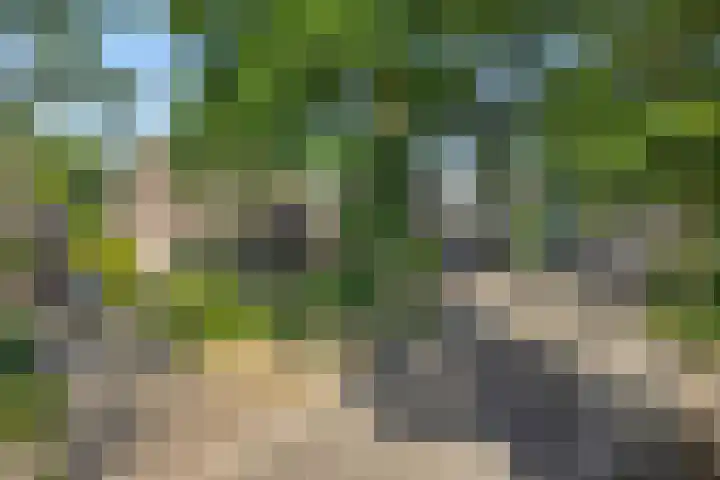 Deken van der Cammenweg 48 Heesch thumbnail 52