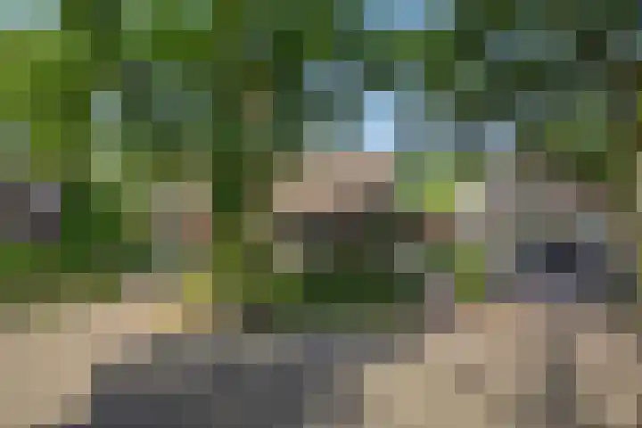 Deken van der Cammenweg 48 Heesch thumbnail 53