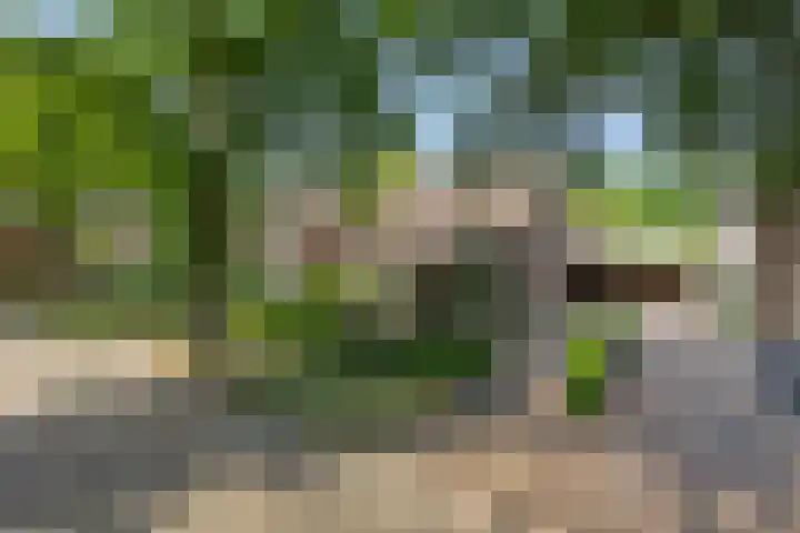 Deken van der Cammenweg 48 Heesch thumbnail 54