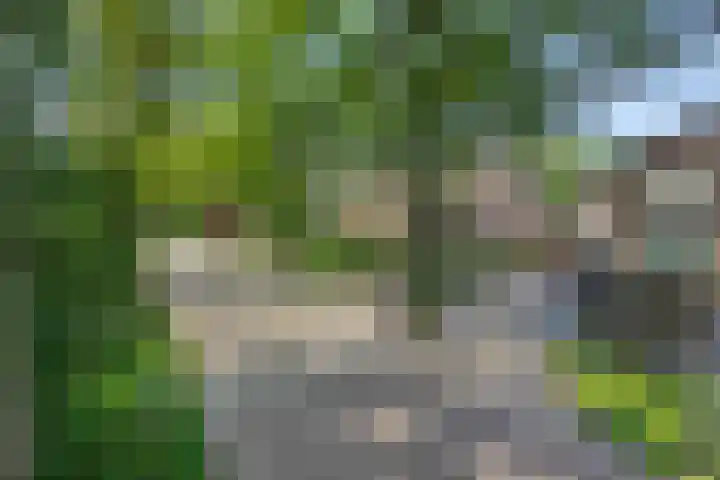 Deken van der Cammenweg 48 Heesch thumbnail 55