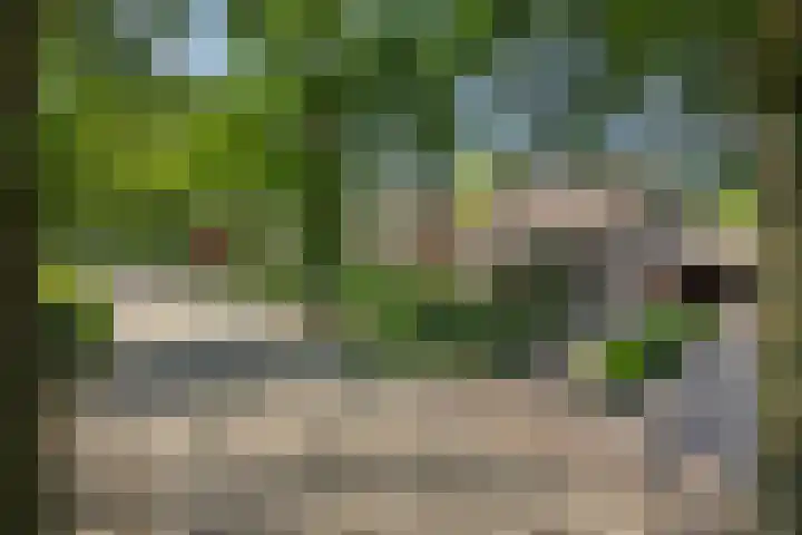 Deken van der Cammenweg 48 Heesch thumbnail 56