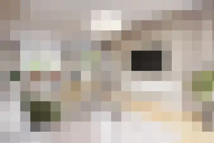 Deken van der Cammenweg 48 Heesch thumbnail 6