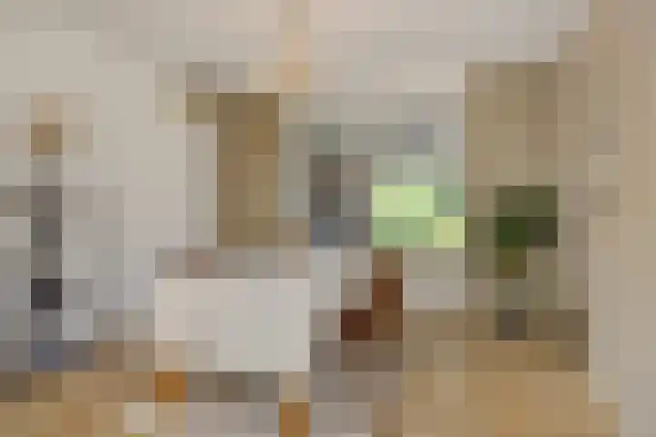 Deken van der Cammenweg 48 Heesch thumbnail 8
