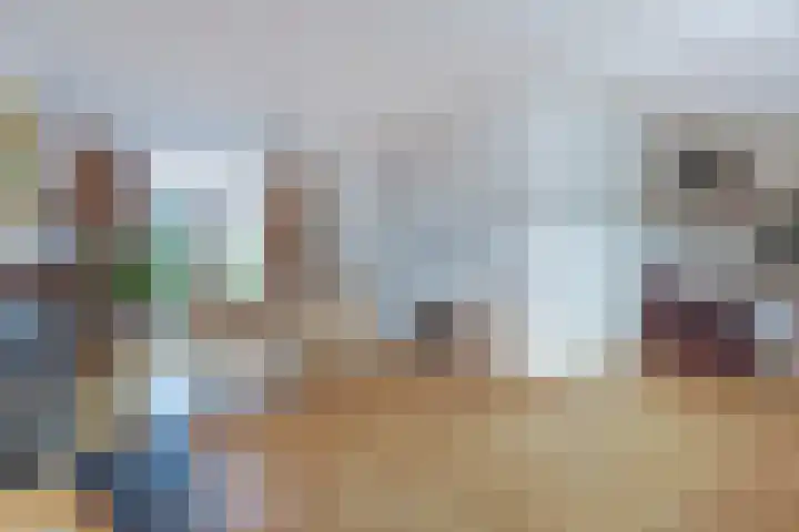 Deken van der Waardenlaan 12 Almelo thumbnail 11