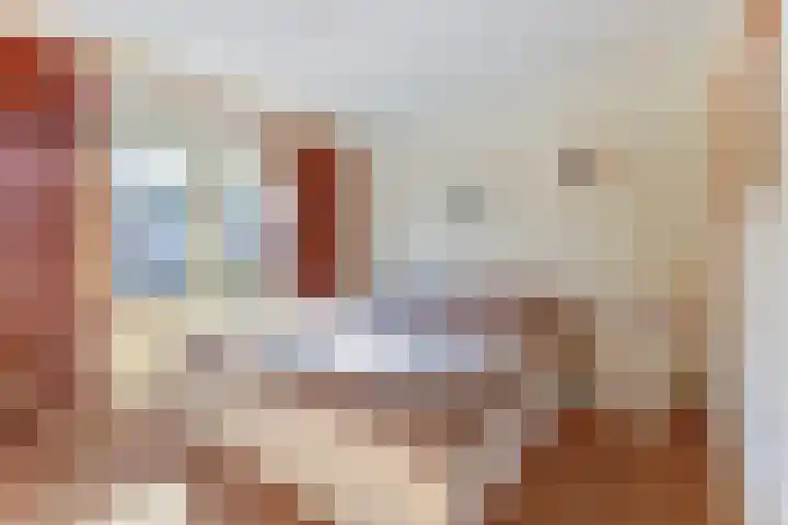 Deken van der Waardenlaan 12 Almelo thumbnail 18