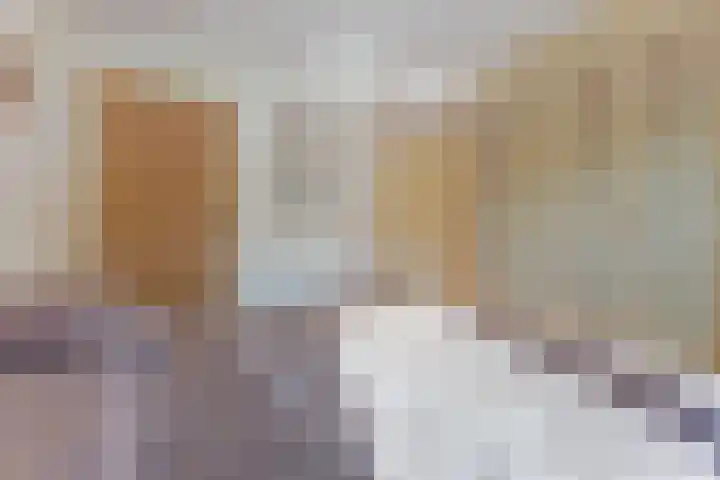 Deken van der Waardenlaan 12 Almelo thumbnail 19