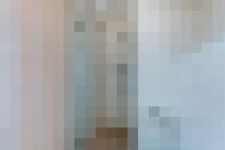 Deken van der Waardenlaan 12 Almelo thumbnail 26