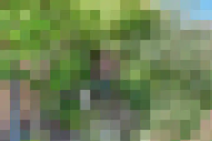 Deken van der Waardenlaan 12 Almelo thumbnail 36