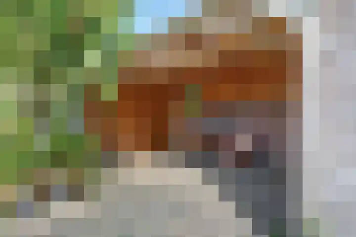 Deken van der Waardenlaan 12 Almelo thumbnail 40