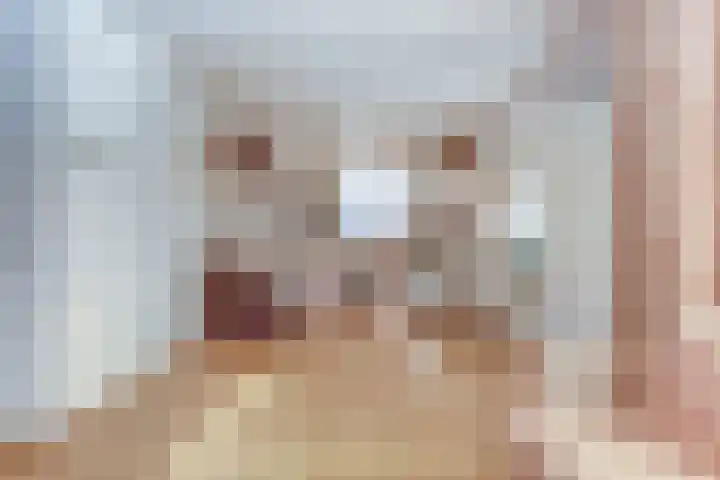 Deken van der Waardenlaan 12 Almelo thumbnail 7