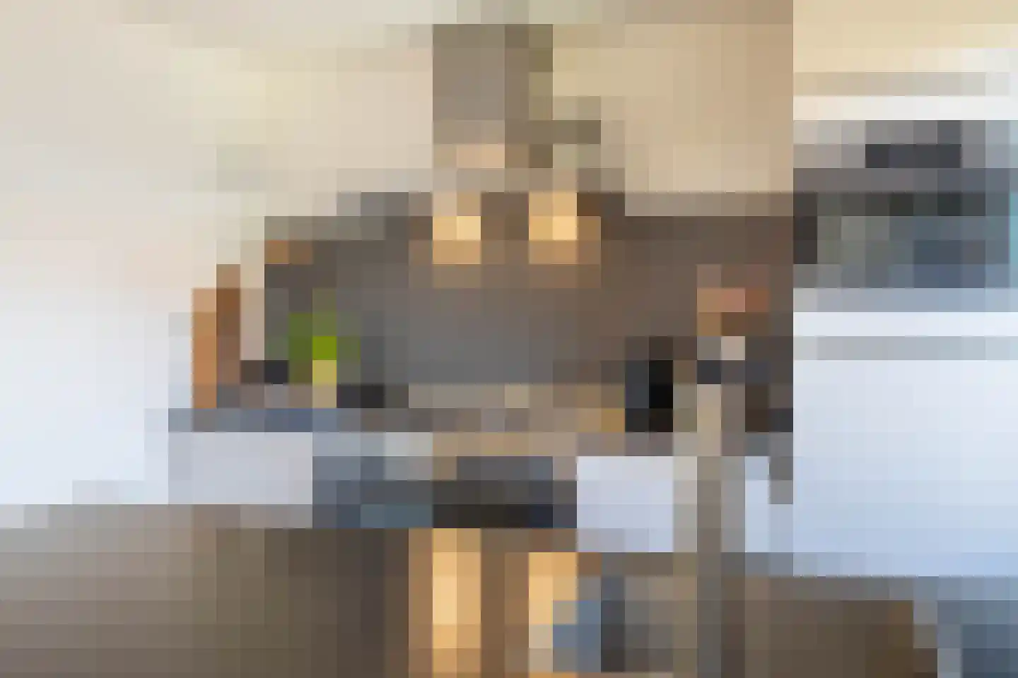 Deken van der Waardenlaan 6 Almelo thumbnail 10