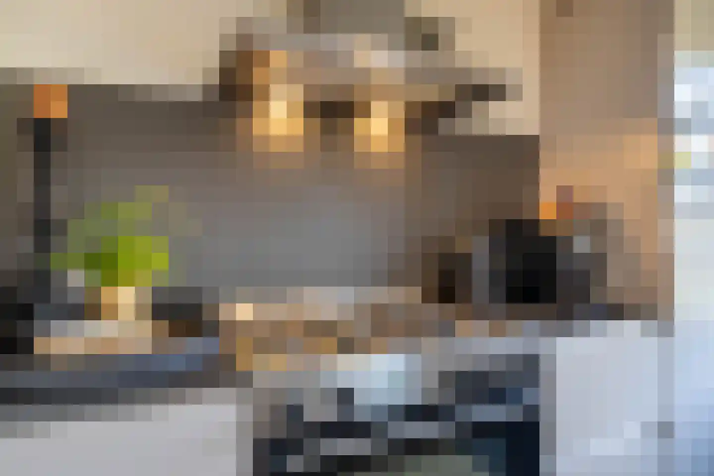 Deken van der Waardenlaan 6 Almelo thumbnail 11