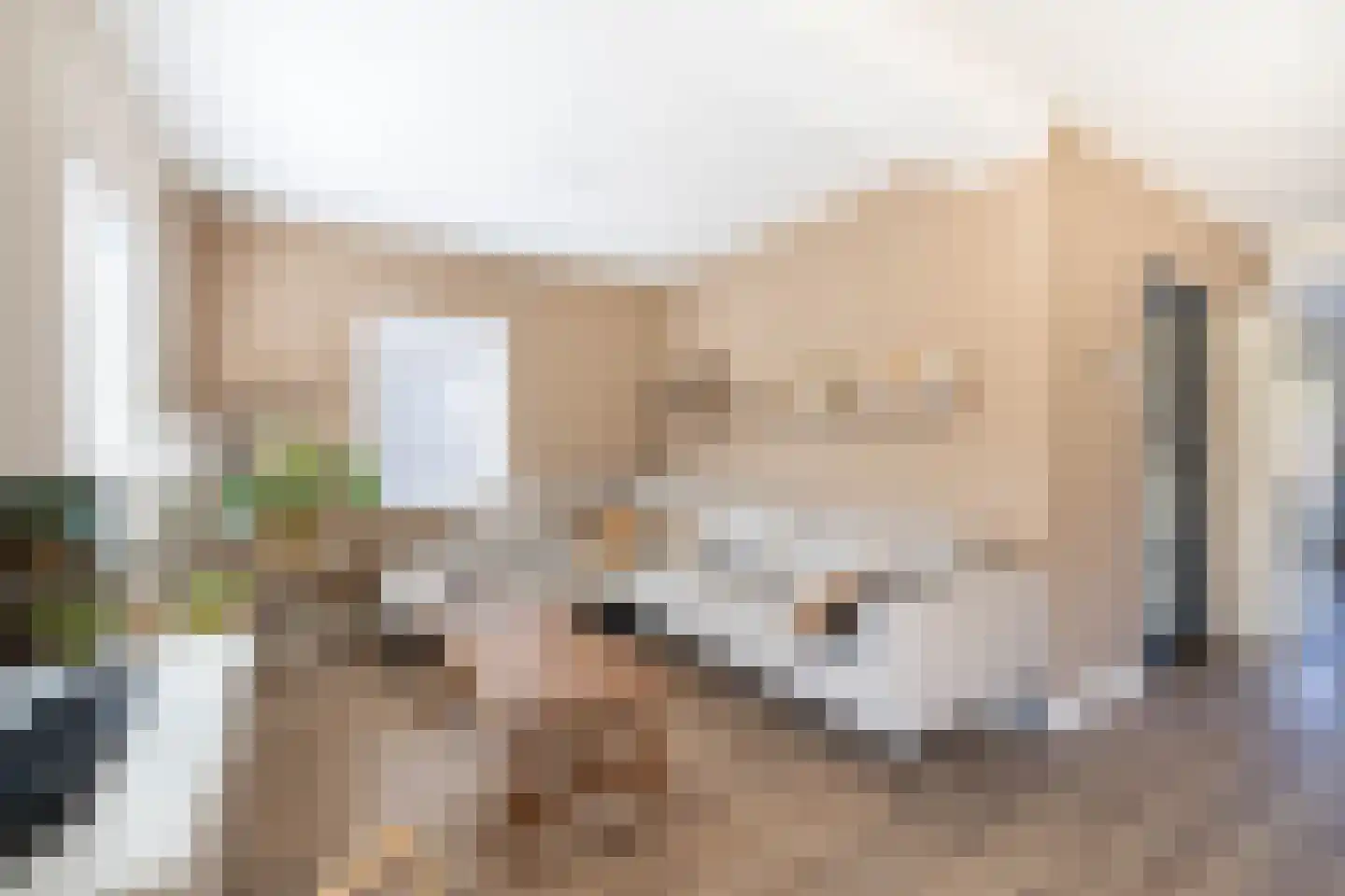 Deken van der Waardenlaan 6 Almelo thumbnail 17