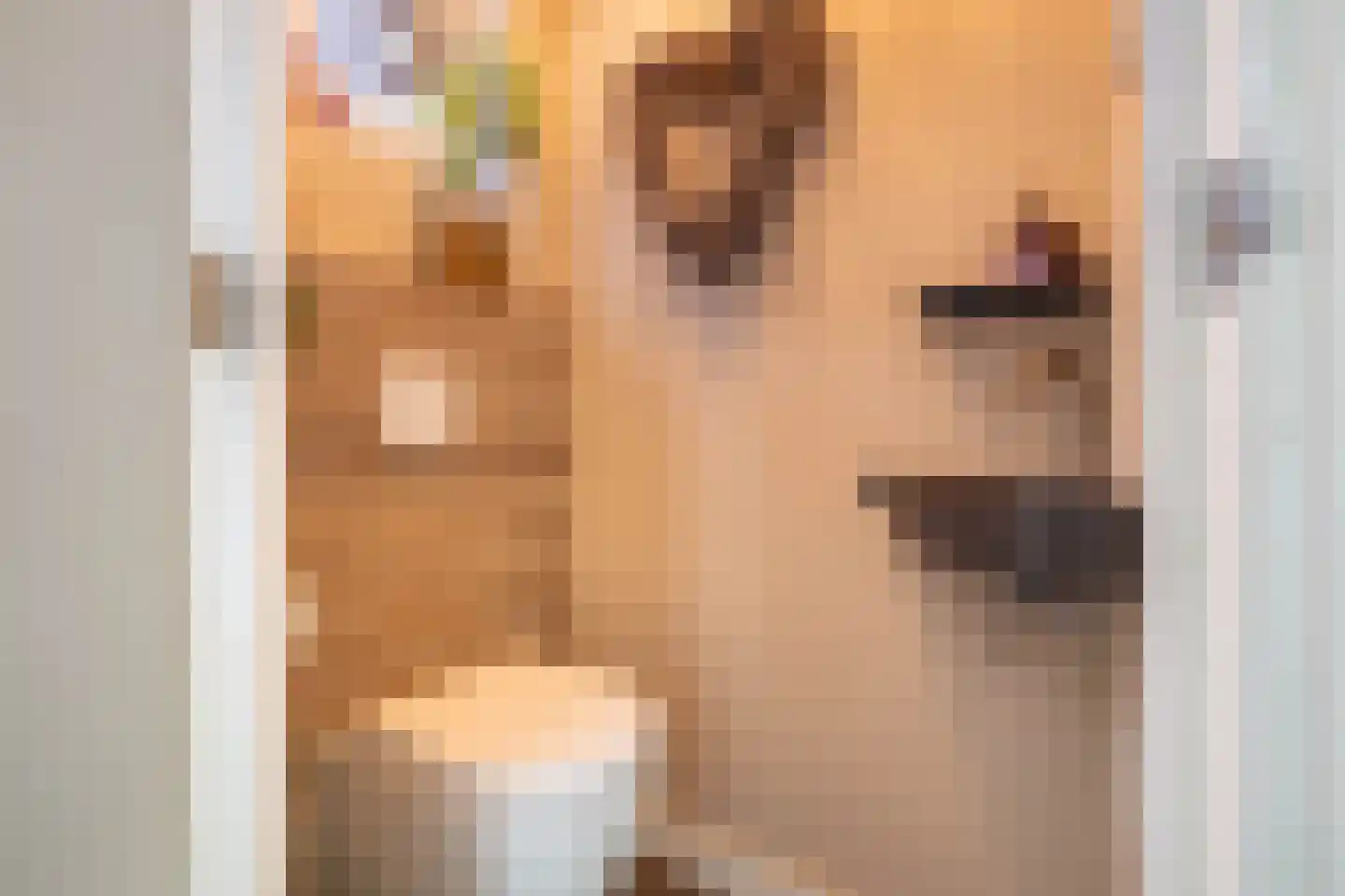 Deken van der Waardenlaan 6 Almelo thumbnail 18