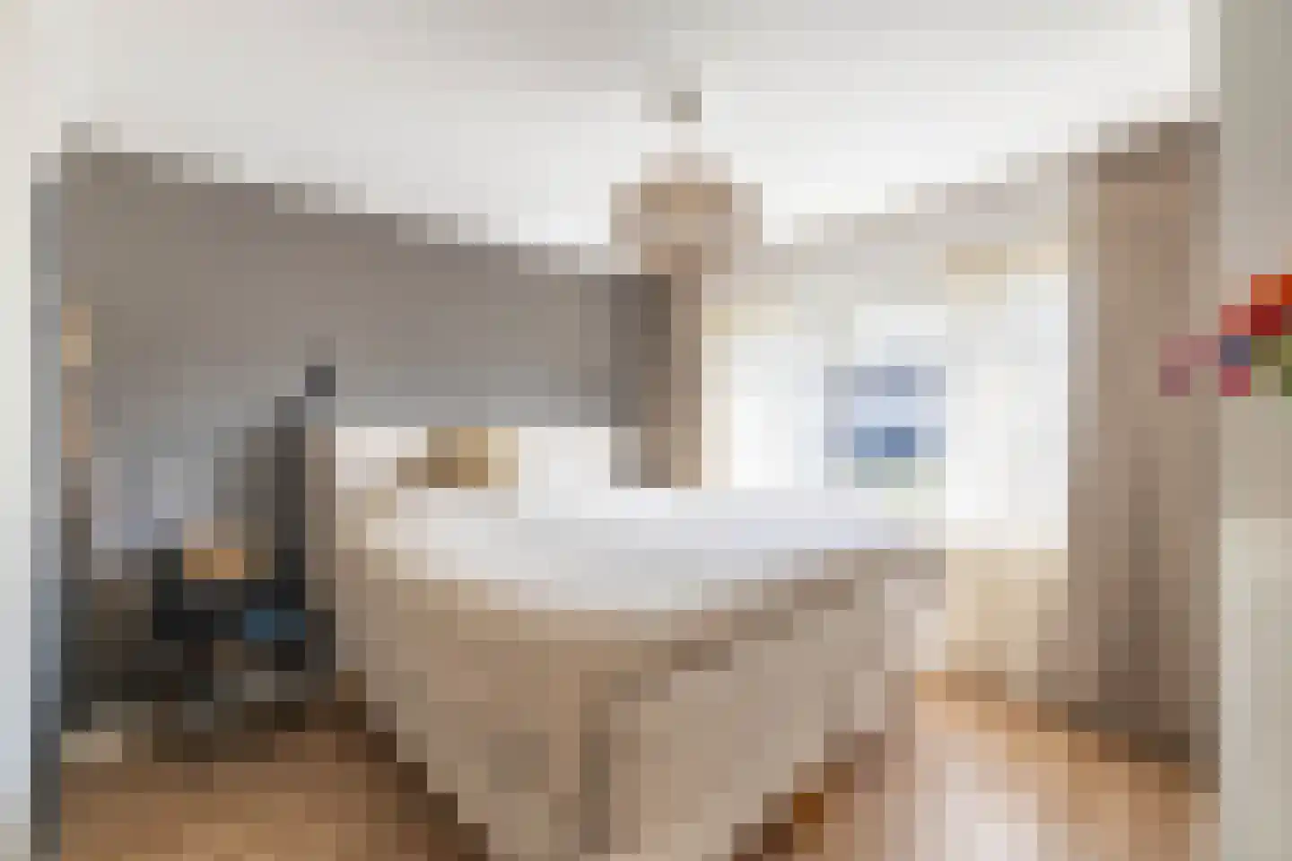 Deken van der Waardenlaan 6 Almelo thumbnail 21