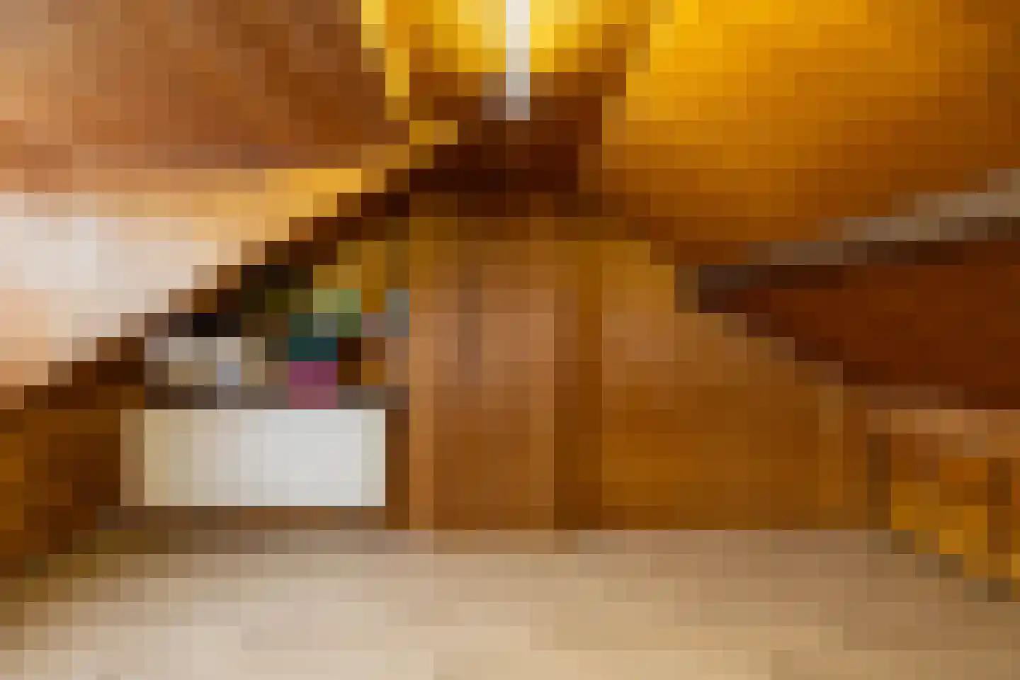 Deken van der Waardenlaan 6 Almelo thumbnail 24