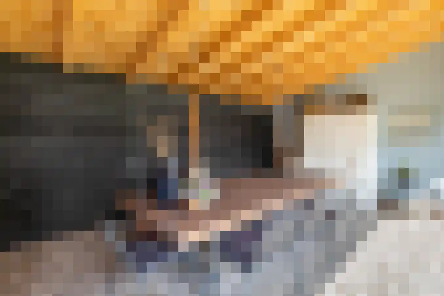 Deken van der Waardenlaan 6 Almelo thumbnail 28