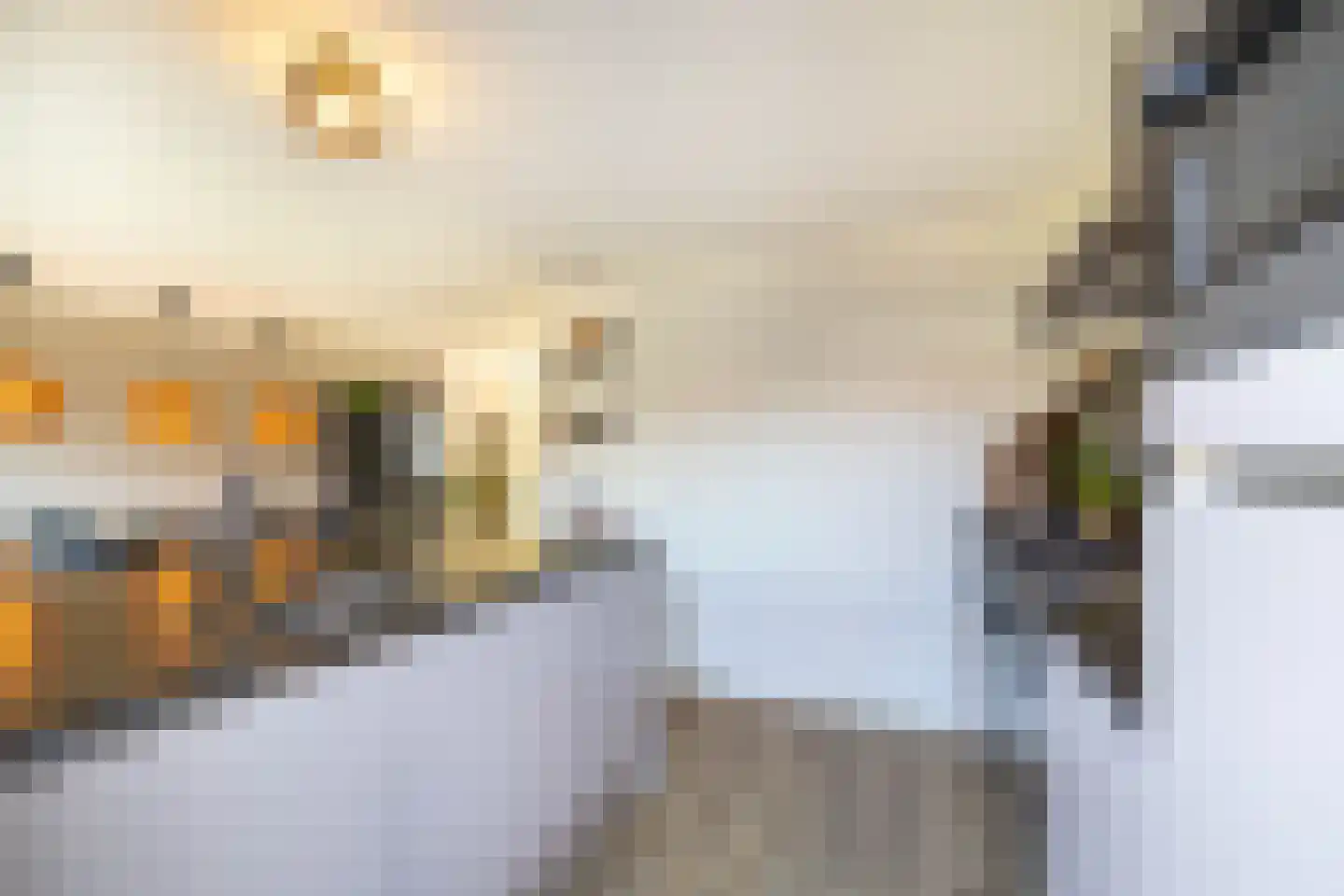 Deken van der Waardenlaan 6 Almelo thumbnail 9