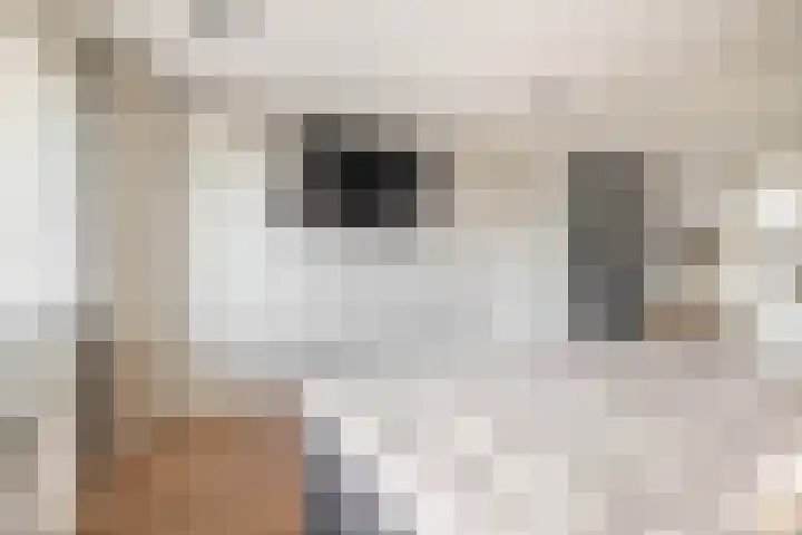 Deken van Dijkstraat 36 Schijndel thumbnail 20