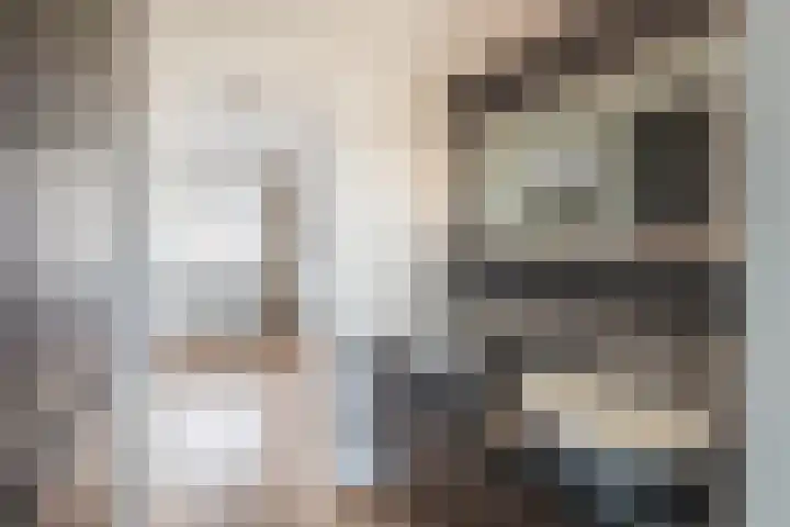 Deken van Dijkstraat 36 Schijndel thumbnail 23