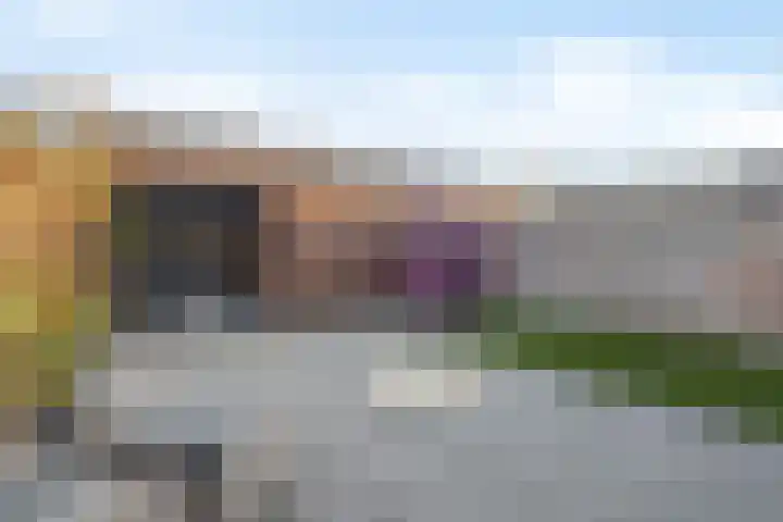 Deken van Dijkstraat 36 Schijndel thumbnail 29