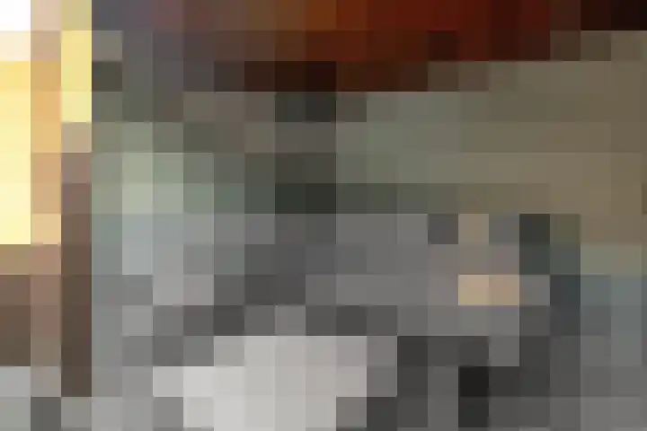 Deken van Dijkstraat 36 Schijndel thumbnail 32