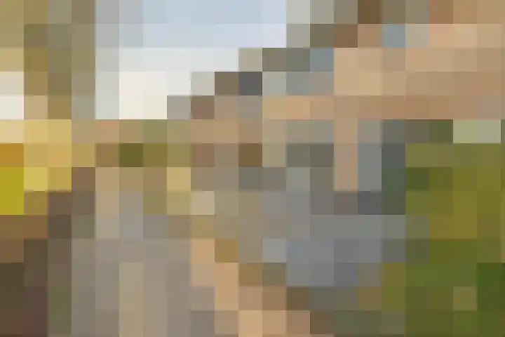 Deken van Dijkstraat 36 Schijndel thumbnail 33