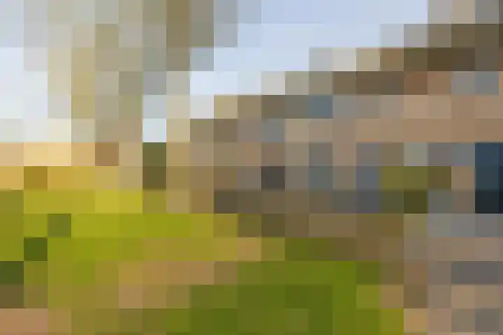 Deken van Dijkstraat 36 Schijndel thumbnail 35
