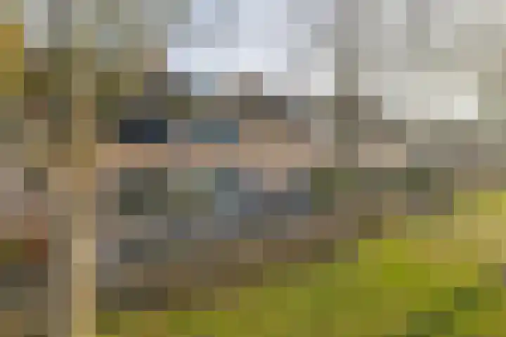 Deken van Dijkstraat 36 Schijndel thumbnail 36