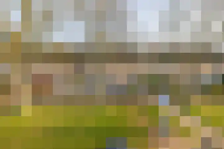 Deken van Dijkstraat 36 Schijndel thumbnail 37