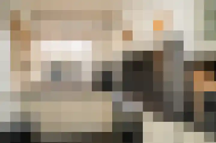 Deken van Dijkstraat 4 Schijndel thumbnail 10