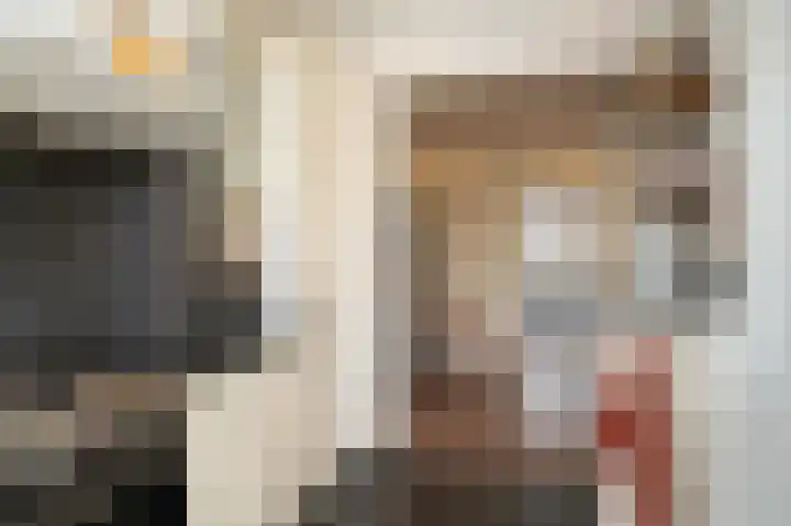 Deken van Dijkstraat 4 Schijndel thumbnail 11
