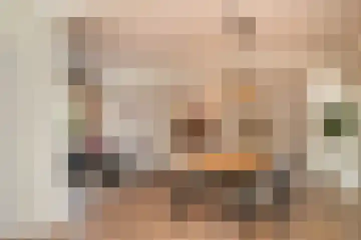 Deken van Dijkstraat 4 Schijndel thumbnail 13